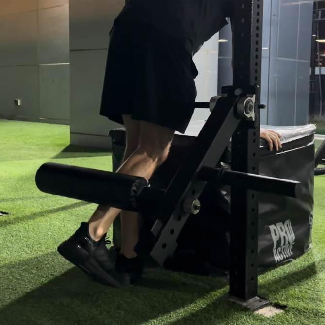 Leg Extension/Curl Attachment
